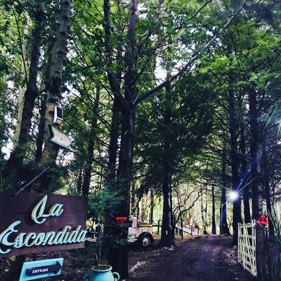 Chacra La Escondida Villa Colonia del Sacramento Ngoại thất bức ảnh