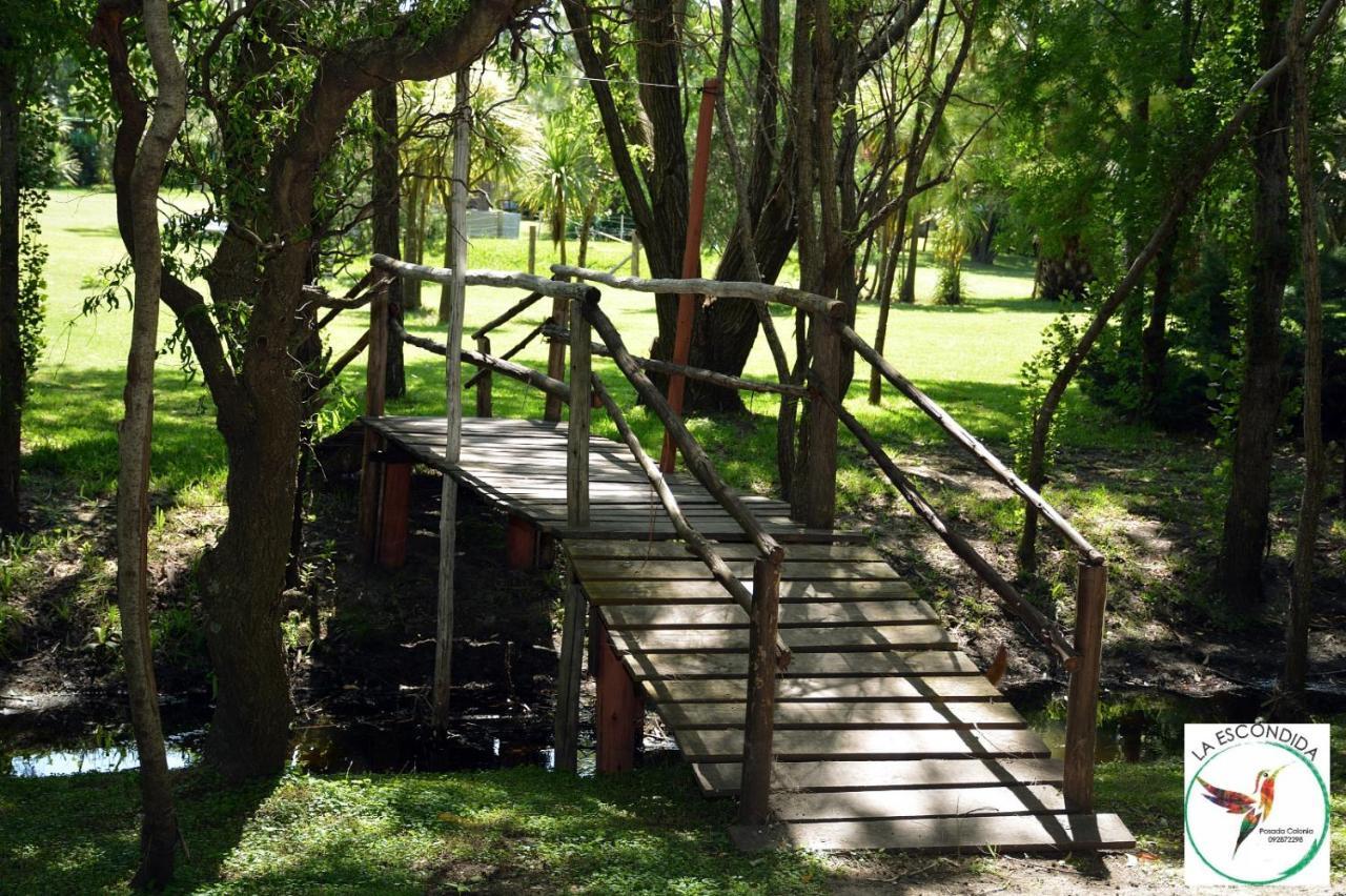 Chacra La Escondida Villa Colonia del Sacramento Ngoại thất bức ảnh